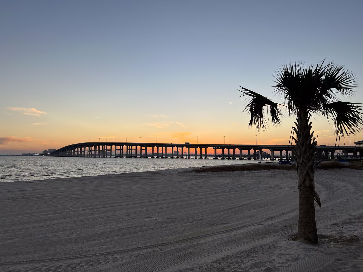 Palm tree on Front Beach in Ocean Springs with the Biloxi Bay Bridge at sunset
